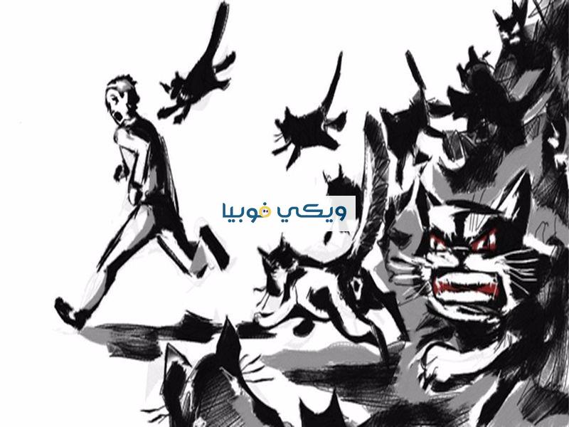 فوبيا القطط: دليل شامل عن رهاب الخوف من القطط (أيلوروفوبيا) فوبيا القطط