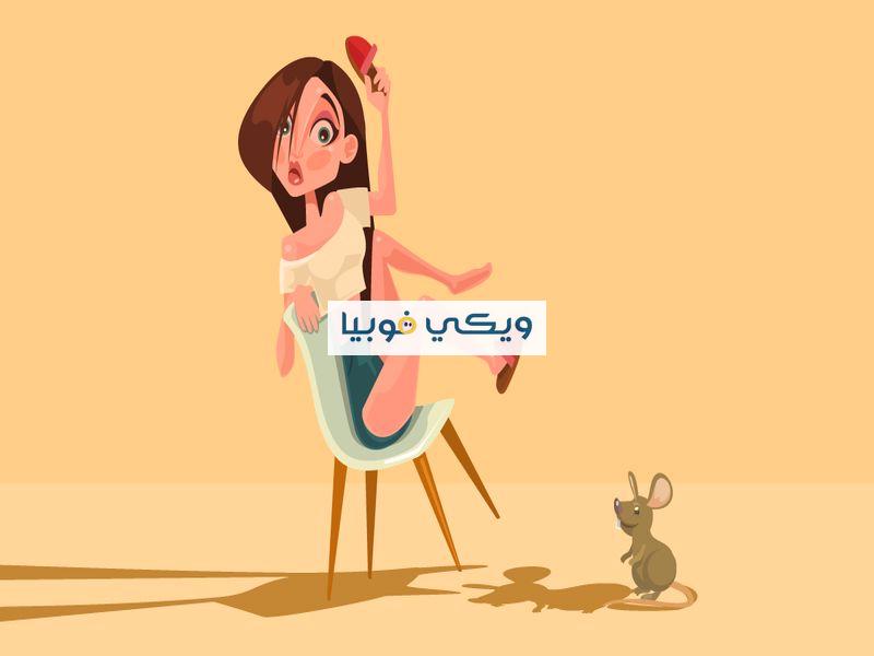 فوبيا الفئران: أسباب وأعراض رُعب الخوف من الفأر وما العلاج؟ فوبيا الفئران
