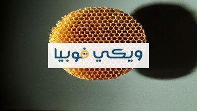 أضرار فوبيا الثقوب