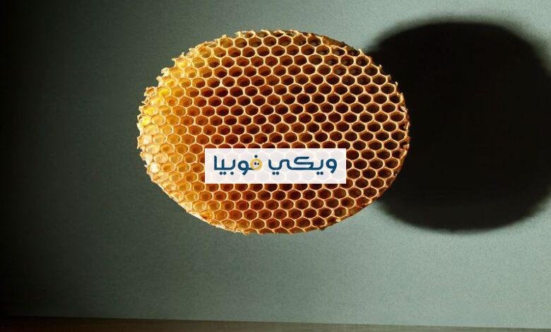 أضرار فوبيا الثقوب وكيف تُعالج فوبيا النخاريب؟ أضرار فوبيا الثقوب