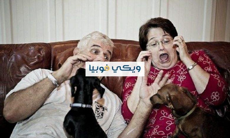 التخلص من فوبيا الحيوانات وأسبابها وطرق علاجها التخلص من فوبيا الحيوانات