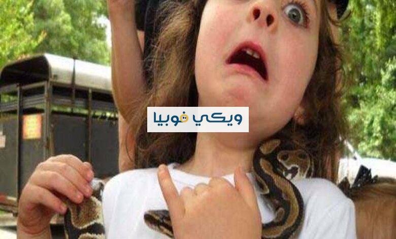 اوفيديو فوبيا الافاعي والثعابين: الأسباب، الأعراض، العلاج اوفيديو فوبيا الثعابين
