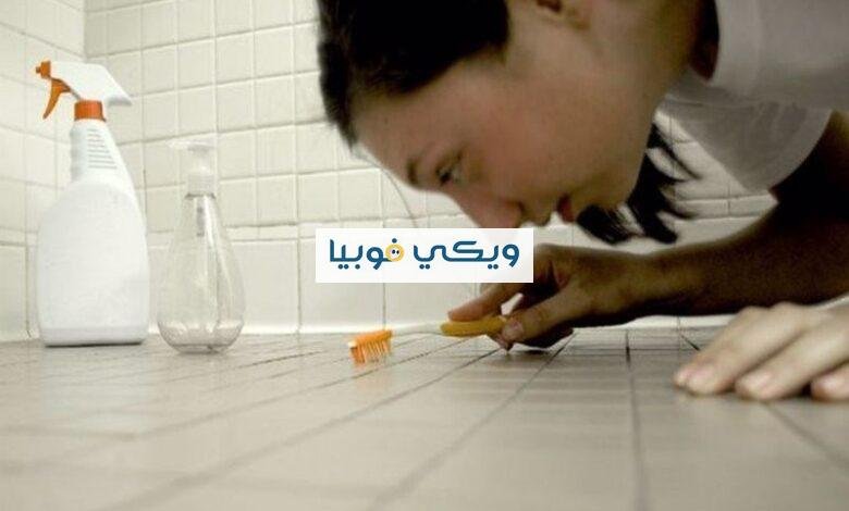 فوبيا الجراثيم: عندما يتحول وسواس النظافة إلى رهاب القذارة فوبيا الجراثيم