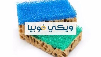 هل تنزعج من ثقوب قطعة إسفنج؟ فوبيا الحفر الصغيرة المتقاربة فوبيا الحفر