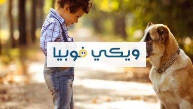 فوبيا الكلاب والقطط