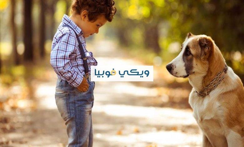 فوبيا الكلاب والقطط: ما هي الأسباب والأعراض وطرق التخلص منها فوبيا الكلاب والقطط