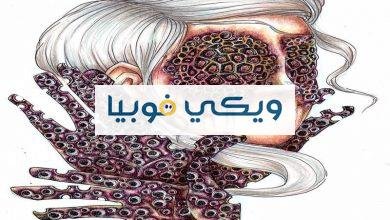 فوبيا النخاريب