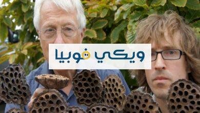 فوبيا النقاط