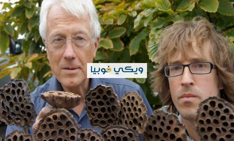 فوبيا النقاط: هل تنزعج من مجرد صورة ثقوب؟ إليك العلاج فوبيا النقاط