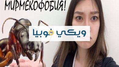 فوبيا النمل