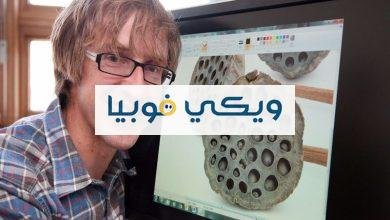 كيفية التخلص من فوبيا الثقوب