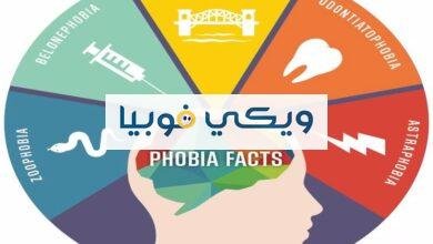 تعريف الفوبيا وأشهر 20 من مصطلحات ومعاني الفوبيا المرضية تعريف الفوبيا