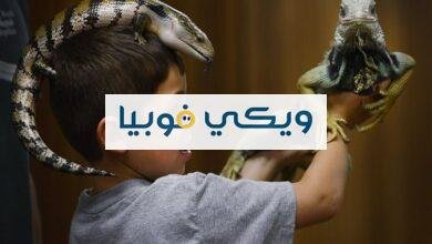 فوبيا الزواحف