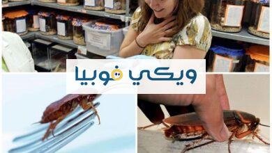 فوبيا الصراصير