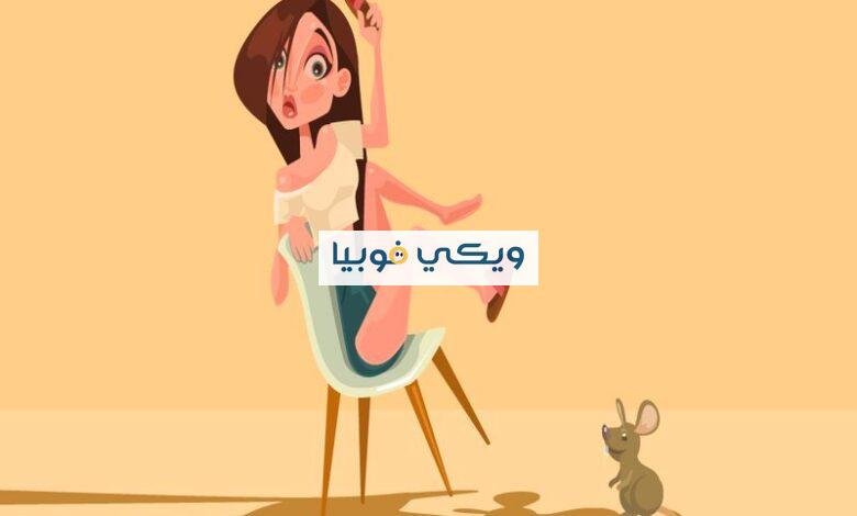 فوبيا الفئران: أسباب وأعراض رُعب الخوف من الفأر وما العلاج؟ فوبيا الفئران
