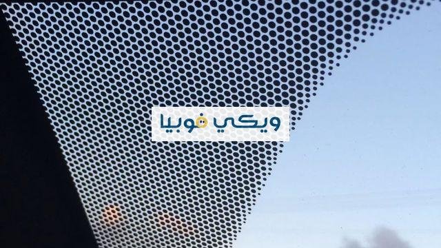 اسباب مرض رهاب النخاريب والعوامل المحفزة اسباب مرض رهاب النخاريب