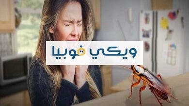 كيفية التخلص من فوبيا الصراصير