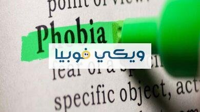 معنى فوبيا بالعربية "Phobia" وأعراضها وأشهر أنواع الفوبيا معنى فوبيا بالعربية